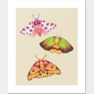 Cottagecore Moths Posters and Art